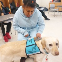 Therapy dog making new friends at transition school