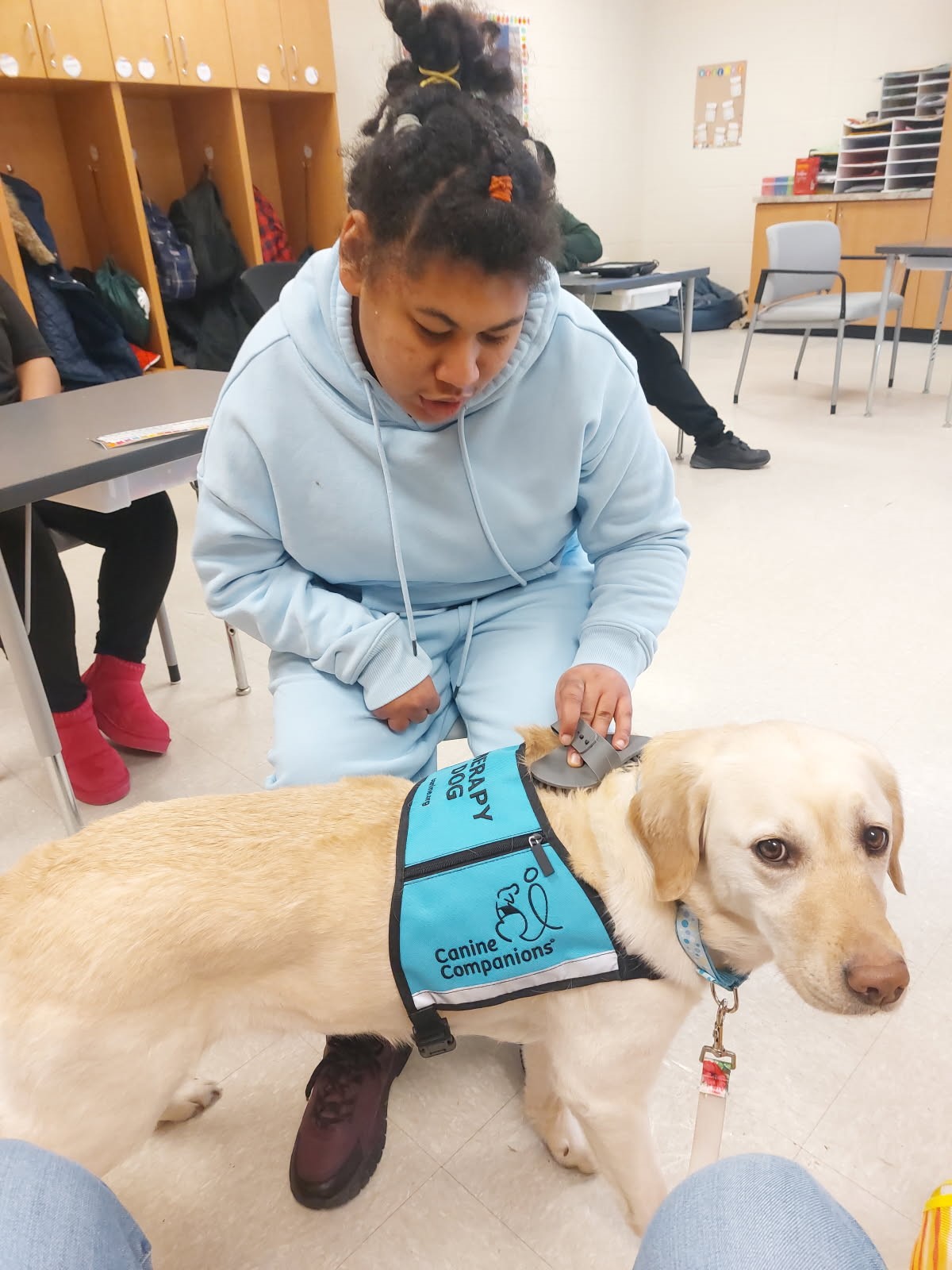 Girl in blue sweatshirt pets a therapy dog.